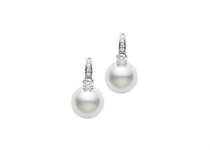 White Gold Plated | Pearl Earrings